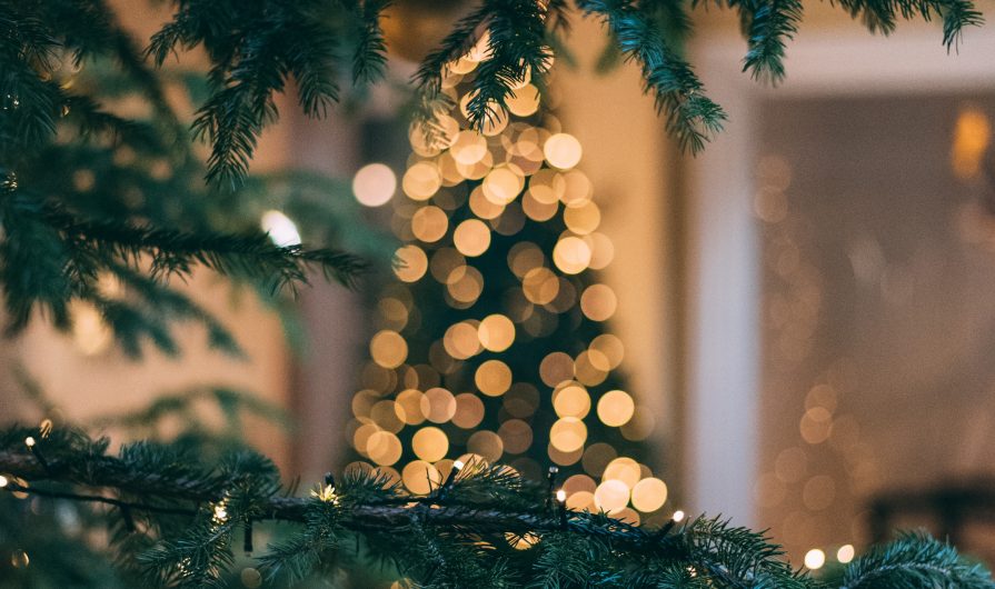 Close up of a Christmas Tree
