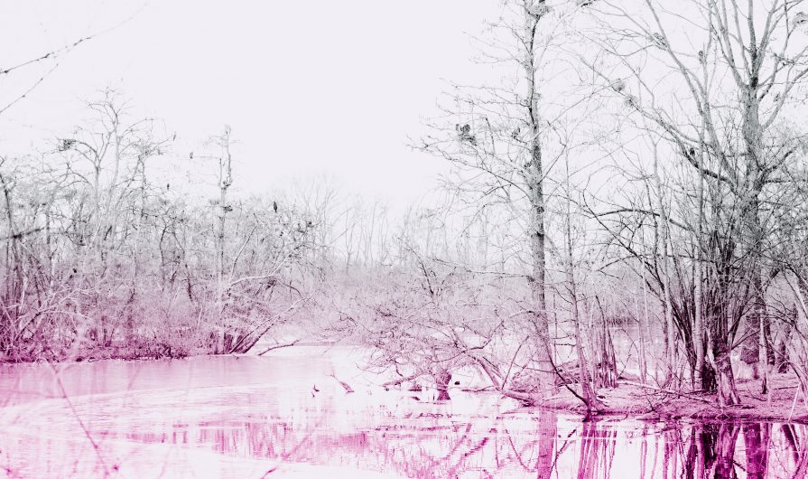 kai-oberhauser-573845-unsplash