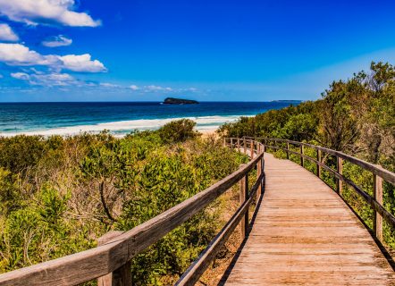 Brown wooden walkway with wooden rails leads down to a beach. The water is visible and calm. On the sides of the walkway are wild flora. The sky is clear with few clouds.