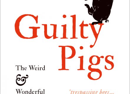 Guilty Pigs Cover
