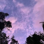 Blue Sky. Image credit: Tara Gooneratne