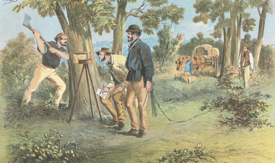 Surveyors (1865) - S. T. Gill
    National Gallery of Victoria, Melbourne
    Purchased, 1953
    This digital record has been made available on NGV Collection Online through the generous support of the Joe White Bequest
